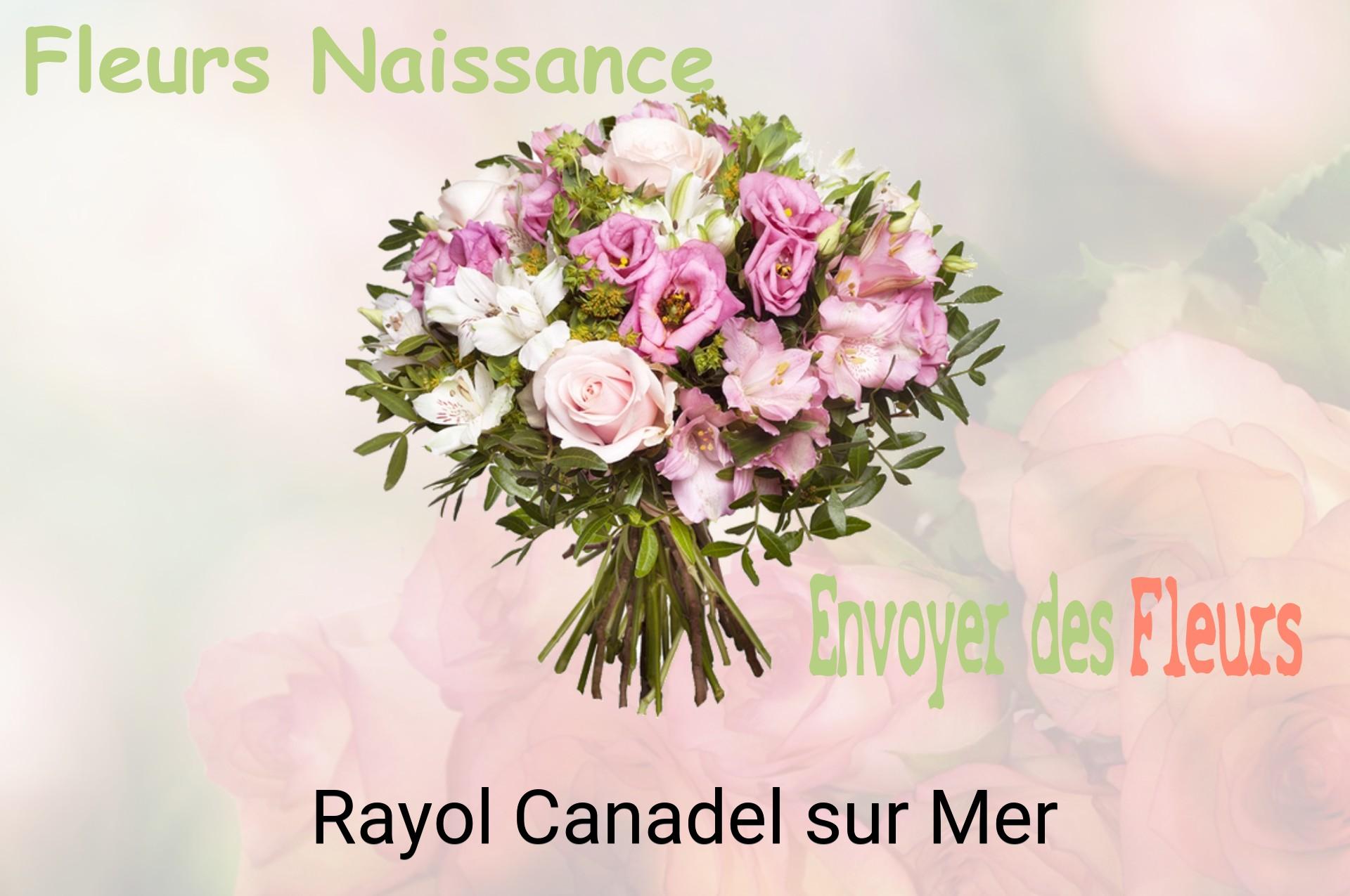 Bouquet de fleurs de naissance livré à Rayol-Canadel-sur-Mer